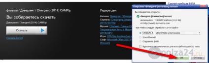 Site pentru descărcarea de filme prin torrent, use-24