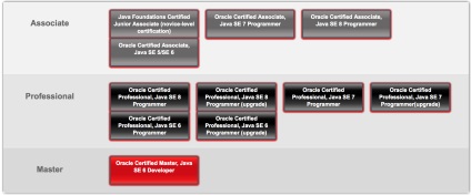 Certificare asociat certificat oracle, java se 8 programator (1z0-808) - kapustin anton
