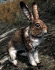 Animalele Skyrim