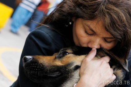 Câine - cel mai loial prieten (20 fotografii)