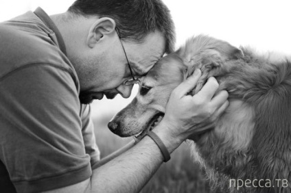 Câine - cel mai loial prieten (20 fotografii)