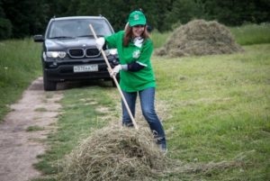 Un interpret de vis într-un vis pentru a vedea unde visează