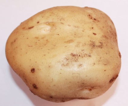 Descriere soi de cartofi timo hankkiyan, plantare și îngrijire
