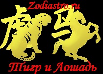 Compatibilitatea tigrului și a calului, compatibilitatea semnelor zodiacale