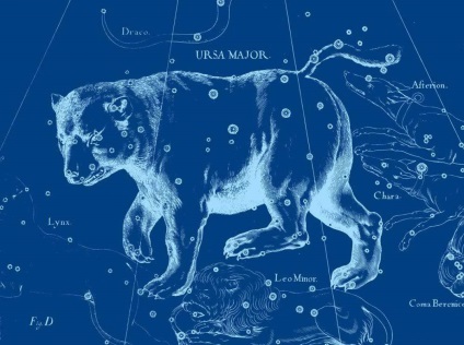 Constellation este un urs mare