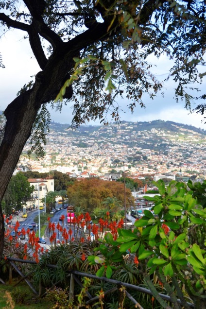 Csendes és kényelmes Funchal, pa