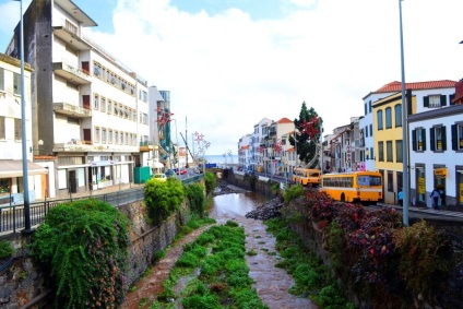 Calm și confortabil funchal, ra