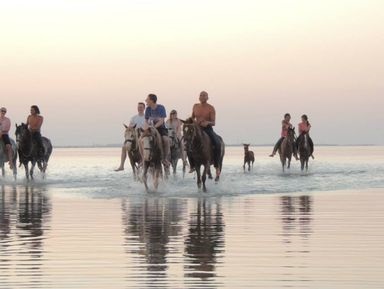 Ar trebui să plec într-o excursie la Cairo din Hurghada