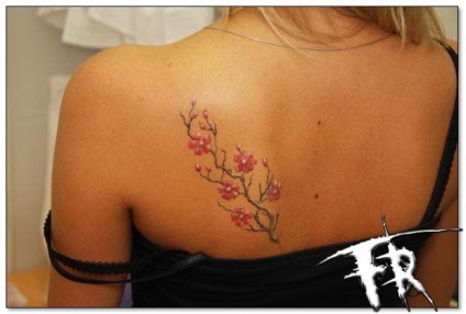 Tatuaj pe umăr pentru fete și bărbați - fotografie, valori