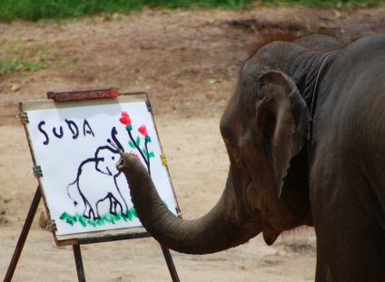 Elefantii thailandezi picta autoportrete