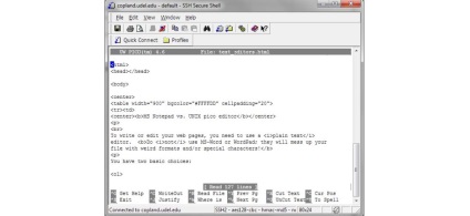Un editor de text pentru linux