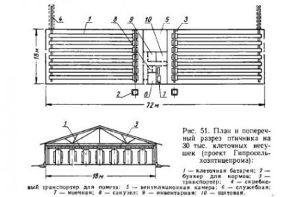 Tehnologia de producere a ouălor în fermele mari - totul despre producția animalieră