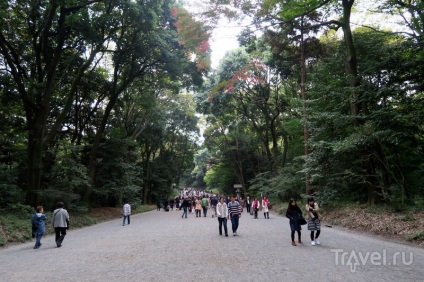 Tokyo pentru cazanele toate zonele în două zile