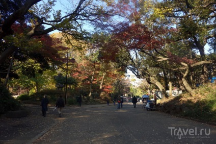 Tokyo pentru cazanele toate zonele în două zile