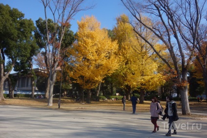 Tokyo pentru cazanele toate zonele în două zile