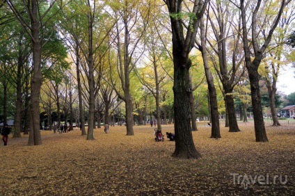 Tokyo pentru cazanele toate zonele în două zile