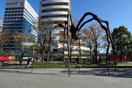 Tokyo pentru cazanele toate zonele în două zile