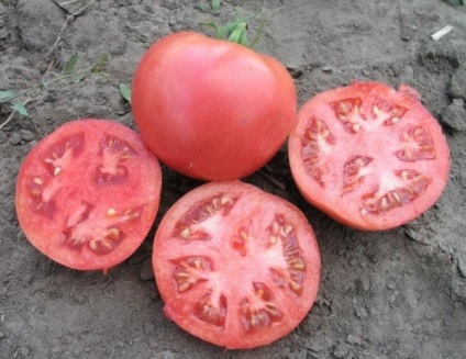 Tomat - Rosalis f1 Descrierea soiului, caracteristici de îngrijire, fotografie de tomate