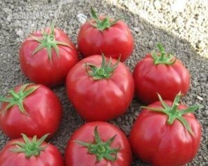 Tomat - Rosalis f1 Descrierea soiului, caracteristici de îngrijire, fotografie de tomate