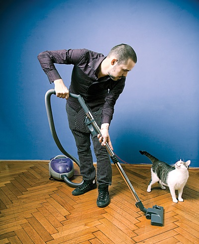 Curățarea în casa în care trăiește pisica - orașul zooinform