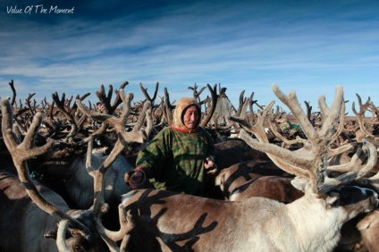 Uimitoarele popoare din Rusia Yamal - cultura Nenets și Khanty