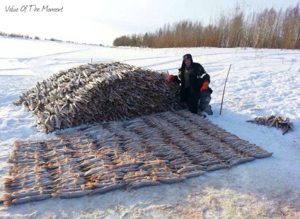 Uimitoarele popoare din Rusia Yamal - cultura Nenets și Khanty