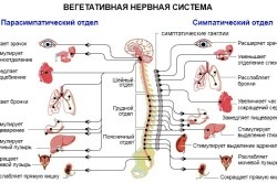 Exerciții pentru gastrită