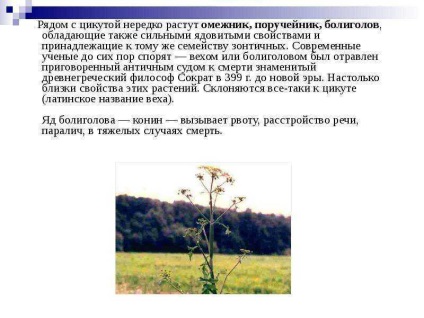 O lecție despre plante ca pericole biologice