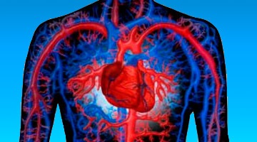 Creșterea inimii - cauze ale unui ventricul mare, tratament și consecințe pentru adulți și copii