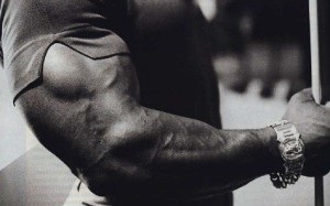 Sfaturi importante pentru pomparea tricepsului, culturismul este un stil de viață