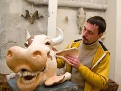 La Kiev, stabiliți un monument la o vacă distractivă zboară, Kiev