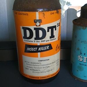 A hatás a rovarölő az emberi test DDT