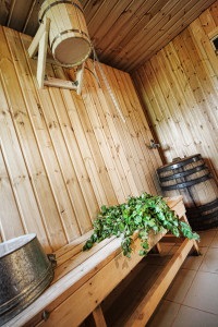 Decoratiuni interioare ale saunei foto, seminee si sobe