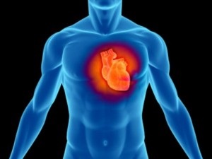 Impactul steroizilor anabolizanți asupra sistemului cardiovascular