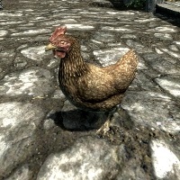 Animale (Skyrim)