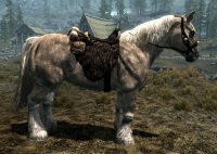 Animale (Skyrim)