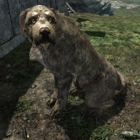 Animale (Skyrim)