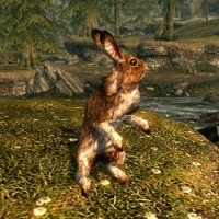 Animale (Skyrim)