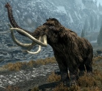 Animale (Skyrim)