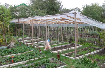 5 Răspunsuri la întrebarea cum să salvați o grădină de legume din secetă