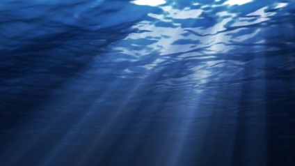 8 Fapte interesante despre Marea Sargaselor