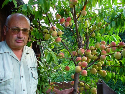 Horticultură alternativă valeria fier