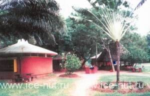 Auroville - orașul viitorului