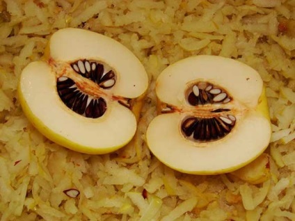 Japonica - dekoratív kerti mezőgazdaság, ültetés és a megfelelő ellátás a kultúra (japán) Japonica - dekoratív kerti mezőgazdaság, ültetés és a megfelelő ellátás a kultúra