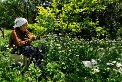 Big Mama Misao și pisica Fukumaru - 21 februarie 2016 - vedere interioară