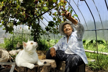 Big Mama Misáelt és macska Fukumaru - február 21, 2016 - belső nézet (anya) Big Mama Misáelt és macska Fukumaru - február 21, 2016 - belső nézet