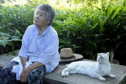 Big Mama Misáelt és macska Fukumaru - február 21, 2016 - belső nézet (nagy) Big Mama Misáelt és macska Fukumaru - február 21, 2016 - belső nézet