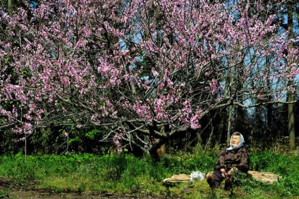 Big Mama Misáelt és macska Fukumaru - február 21, 2016 - belső nézet (Fukumaru) Big Mama Misáelt és macska Fukumaru - február 21, 2016 - belső nézet