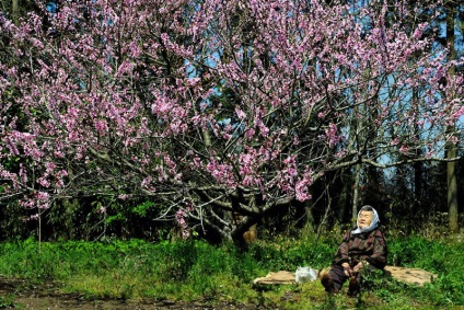 Big Mama Misao și pisica Fukumaru - 21 februarie 2016 - vedere interioară