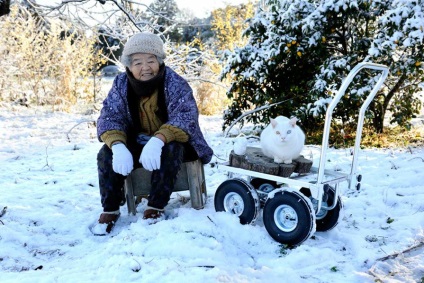 Big Mama Misao și pisica Fukumaru - 21 februarie 2016 - vedere interioară